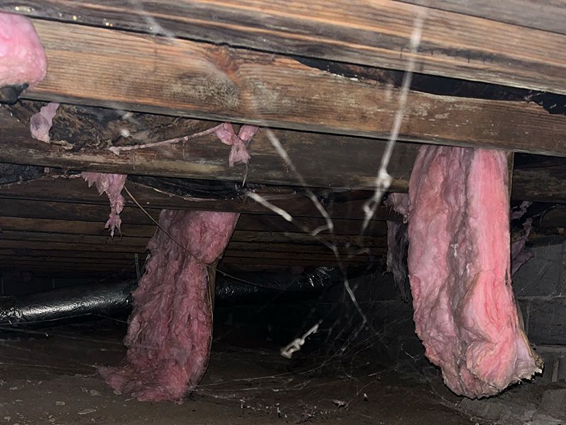 Old crawl space that needs repaired