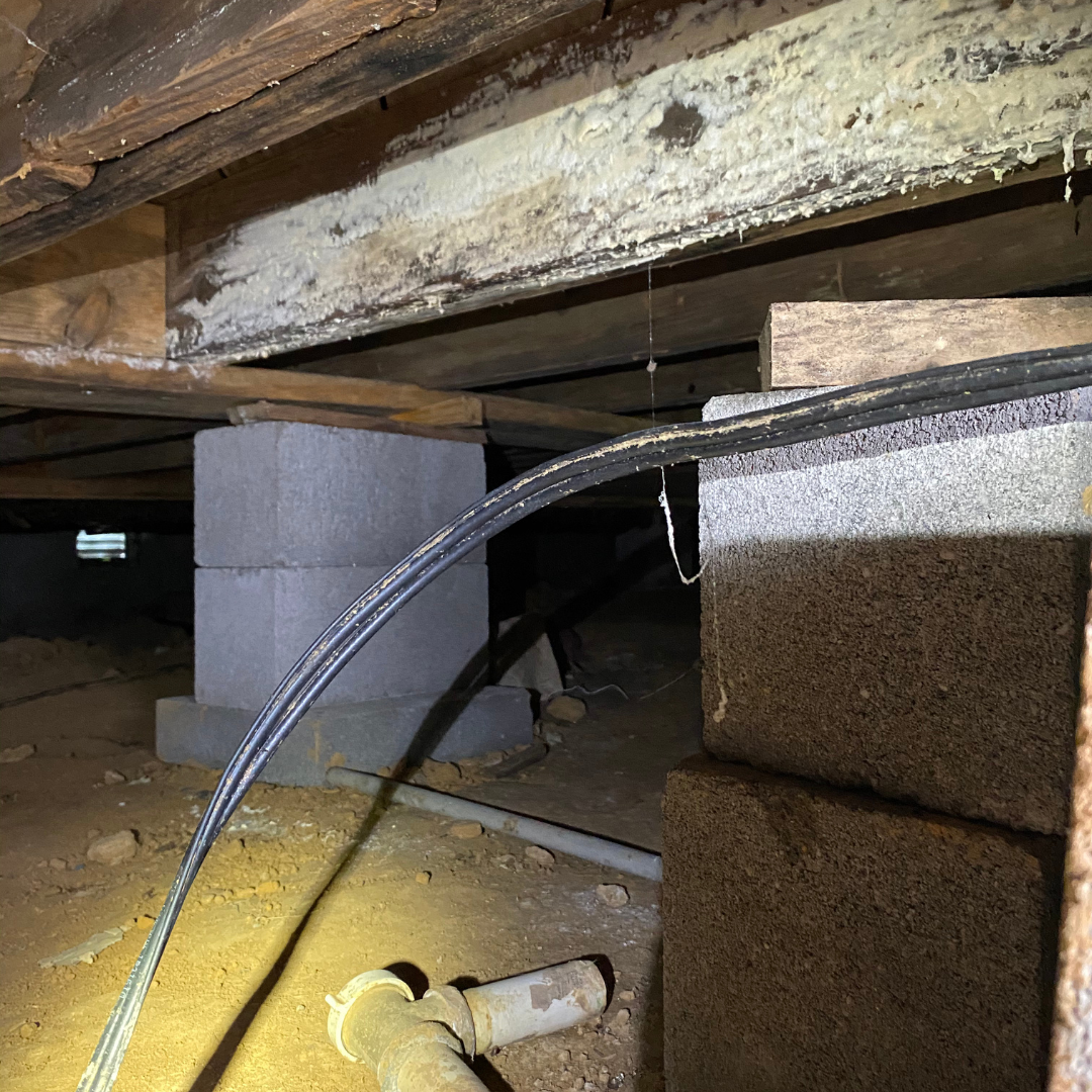 wet crawl space with mold