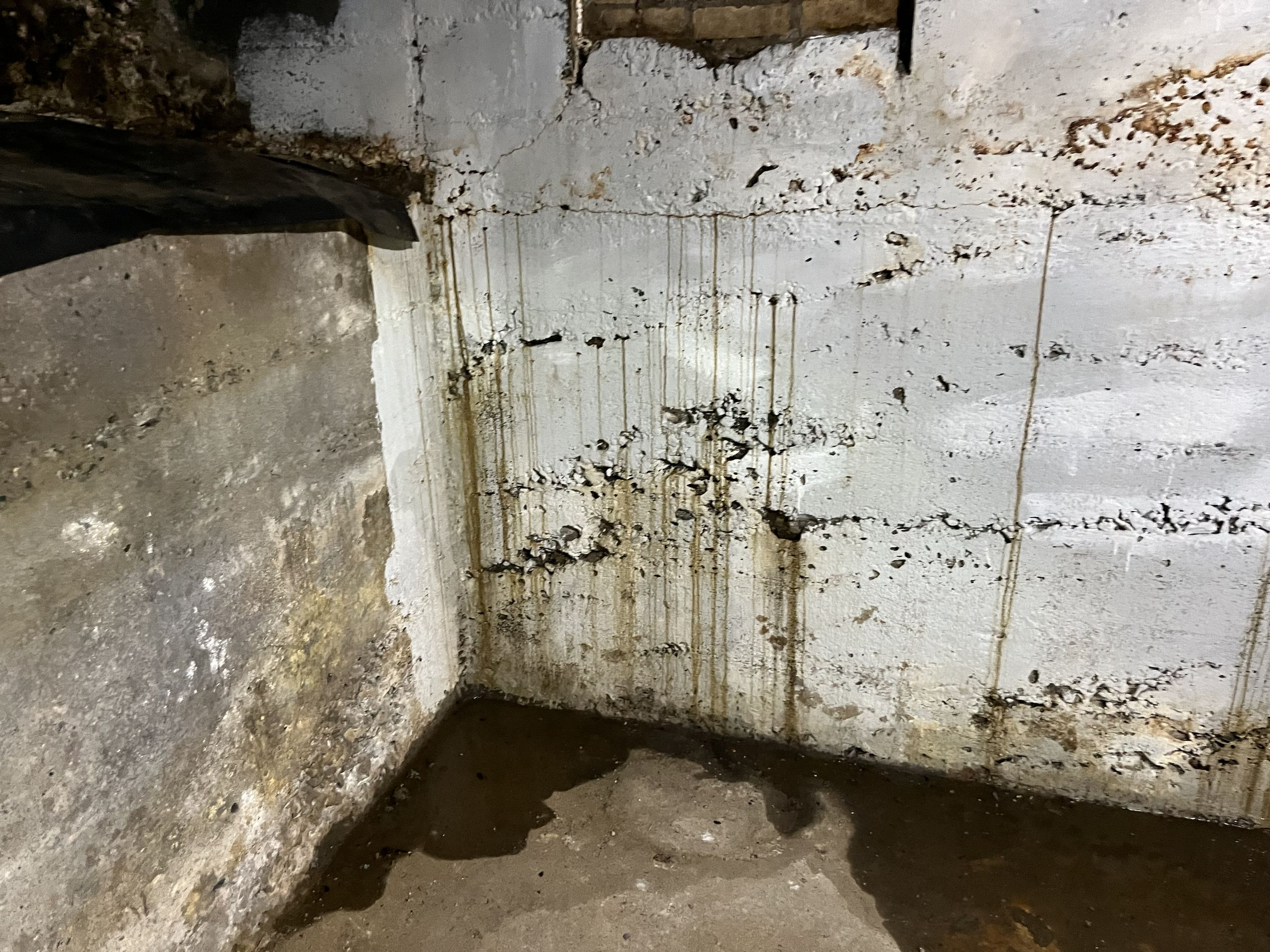 Musty basement
