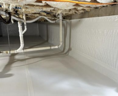 Protecting Your Home's Foundation Wall Crack Repair with Crawl Space Encapsulation