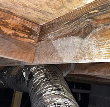 Mold remediation in a crawl space