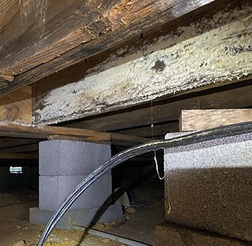 Crawl space on cinder blocks