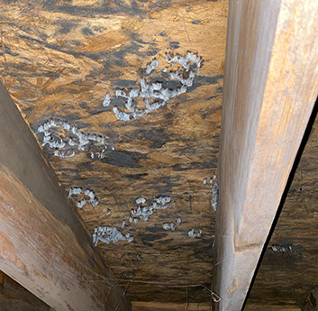 a crawl space with poor ventilation issues that is starting to mold and will cause breathing issues