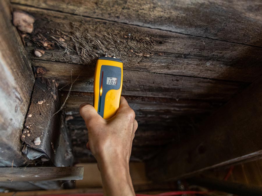 High Basement Humidity