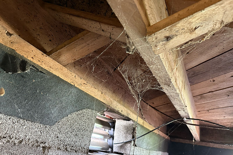 foundation issue