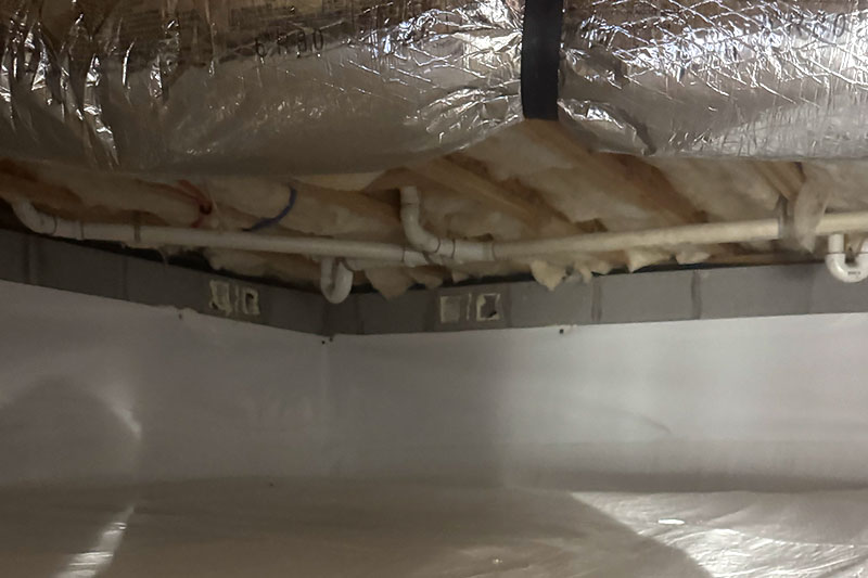 professional crawl space encapsulation